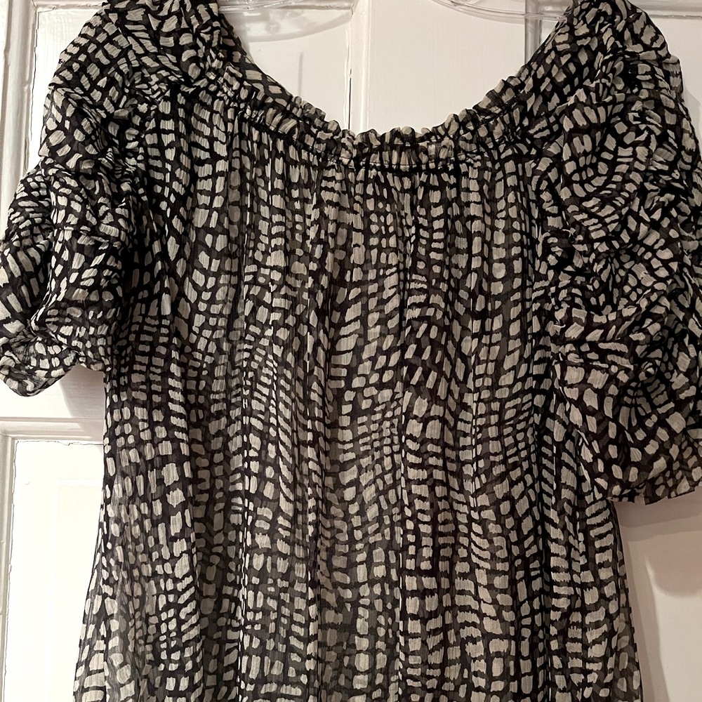 Joie sheer top
